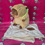 Peluche de Capibara 45 cm + Cobija Bordada 100x100 cm – Envío Gratis
