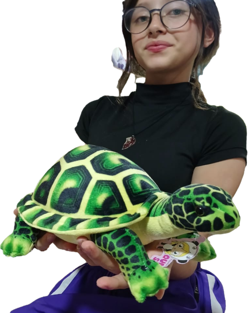 Tortuga de peluche de 35 cm con envio gratis