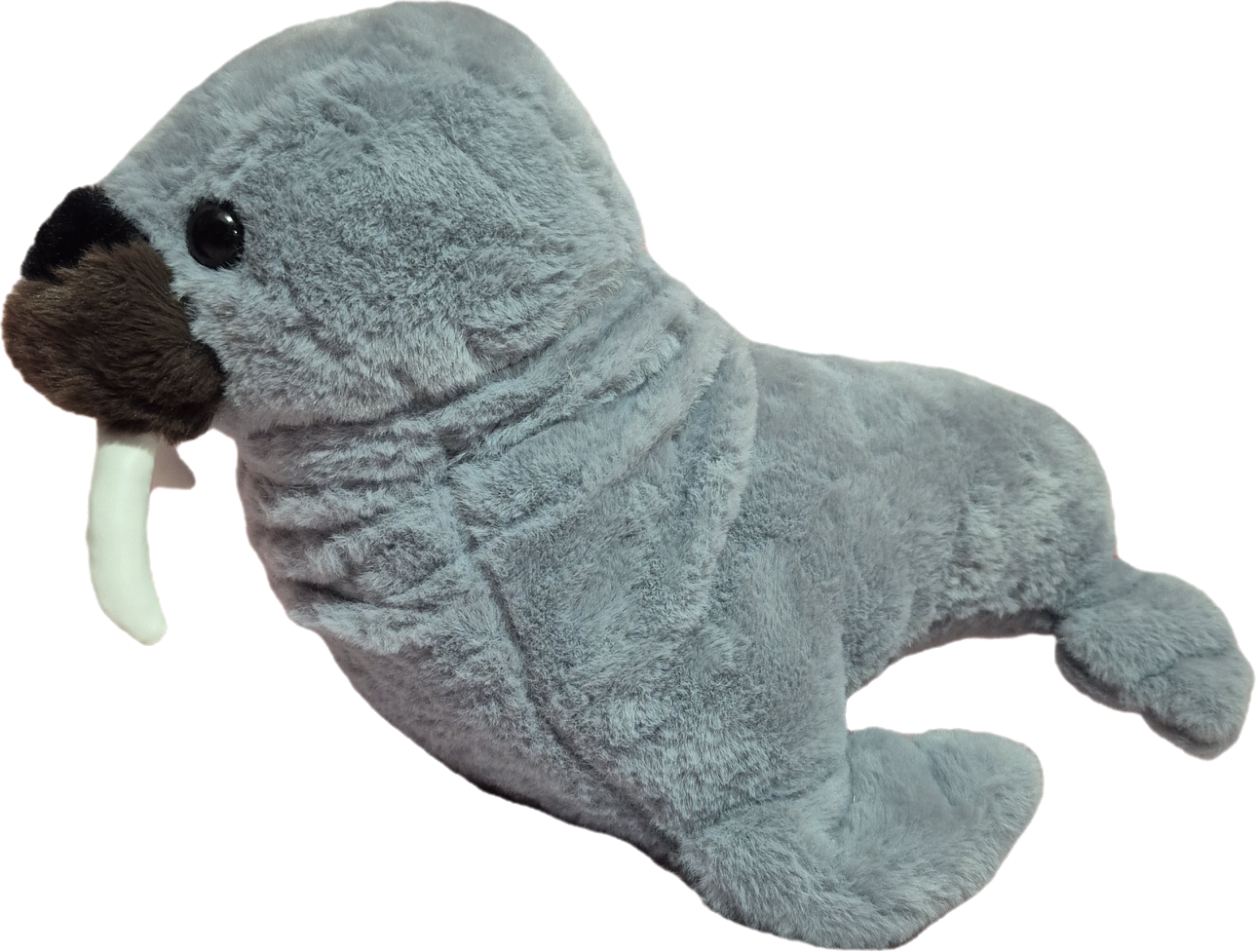 Foca de 45 cm
