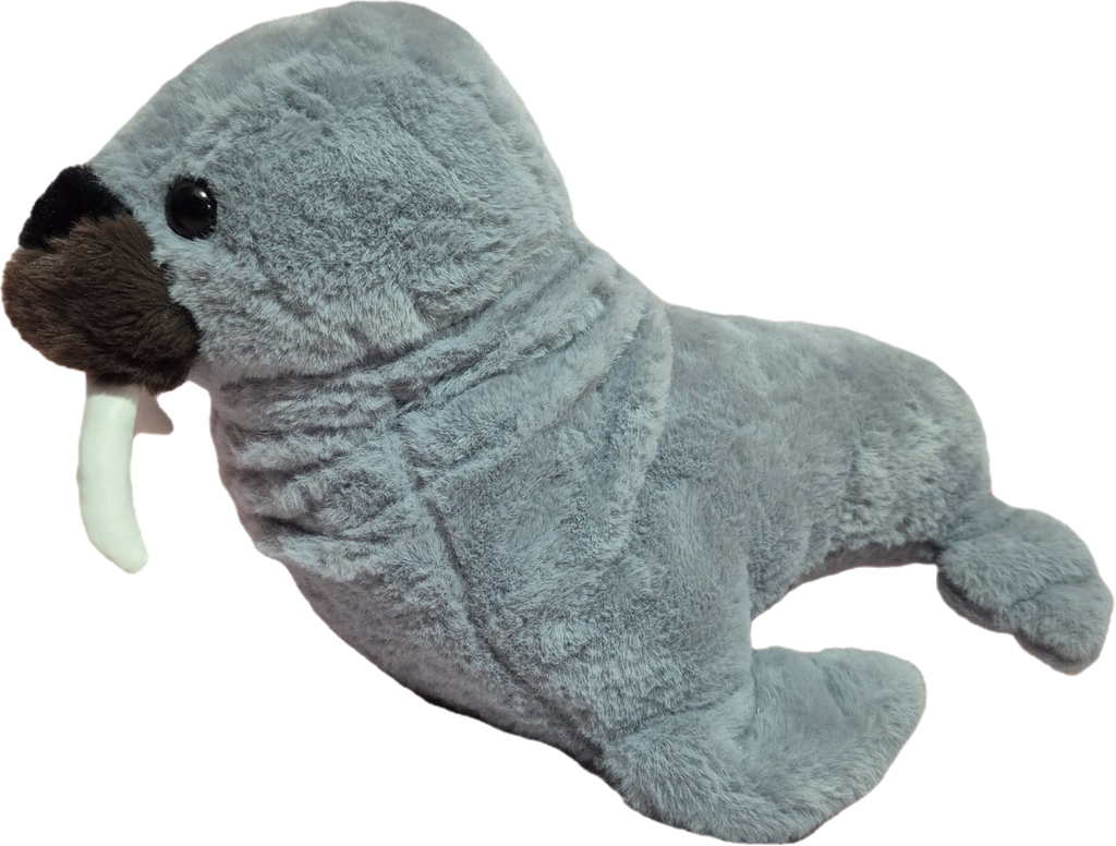 Foca de 45 cm