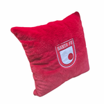 Peluche de Cojin del equipo de Santafe  40cm x 40cm envío gratis