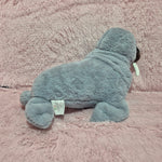 Foca de 45 cm