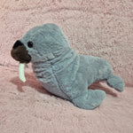 Foca de 45 cm