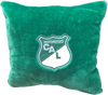 Peluche de Cojin del equipo de deportivo cali 40cm x 40cm envío gratis