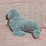 Foca de 45 cm